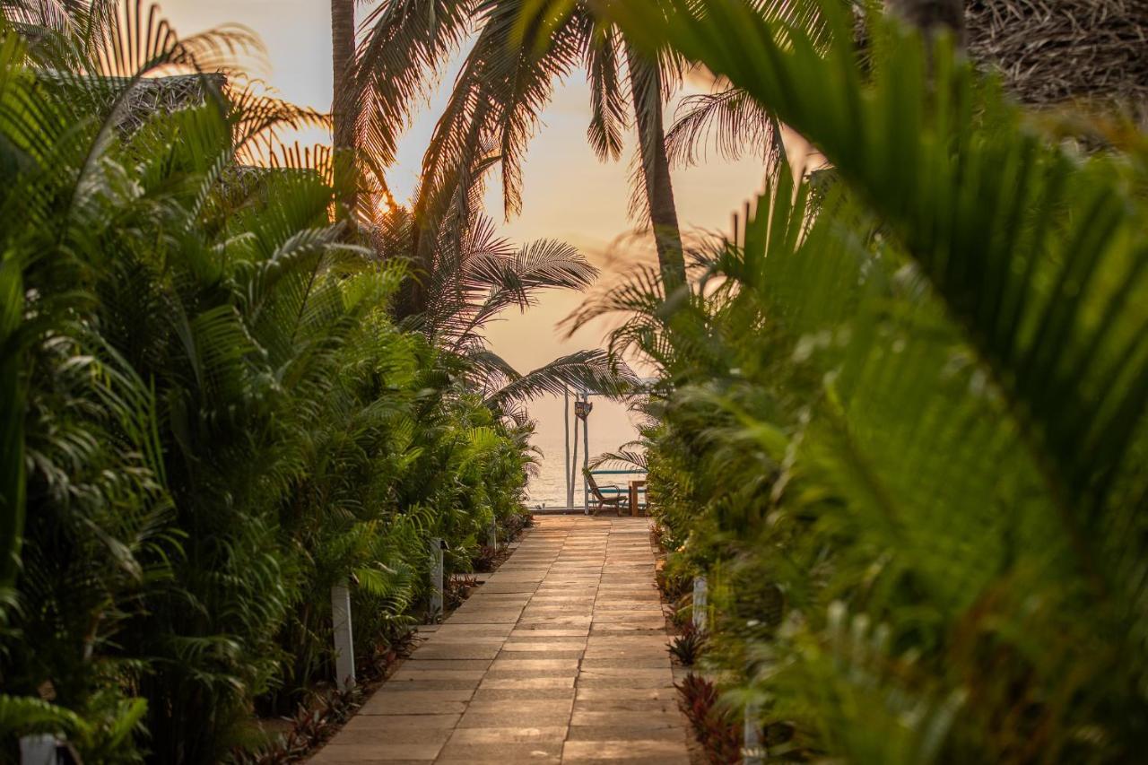 Agonda Shell Beach Resort Canacona Dış mekan fotoğraf